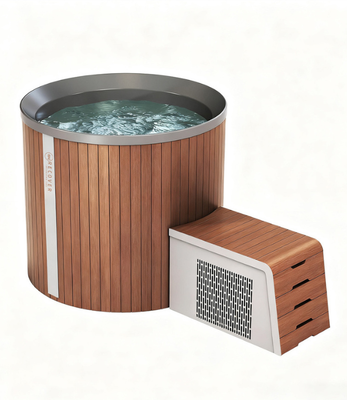 Integrated Step Access